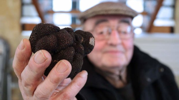 Crisis, what crisis? &#8230; truffles can fetch $1500 a kilogram in Paris at Christmas.