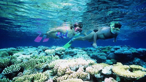 Snorkellers on the Great Barrier Reef.
