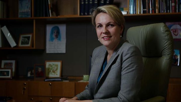More choice: Health Minister Tanya Plibersek said subsidised abortion drugs would help women.