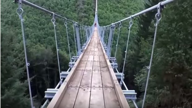 Geierley cayon rope bridge video: Germany's longest rope bridge opens to  tourists