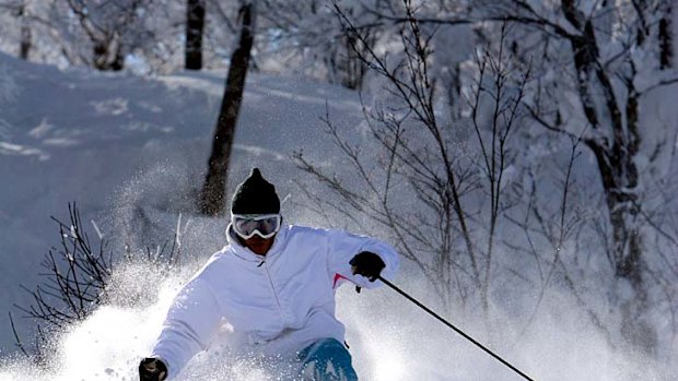 Hitting the powder ... the slopes at Nozawa.