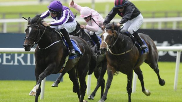 Visitor: Irish-trained Adelaide  (left) wins the group 3 Gallinule Stakes at The Curragh in May.