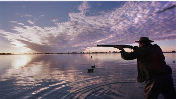 A duck hunter takes aim in Melbourne in this file picture.