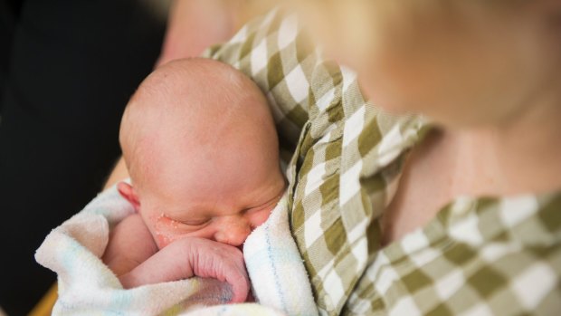 Births in Australian hospitals are attended by a team of midwives and specialist doctors, with obstetricians, anaesthetists and paediatricians immediately available to manage an emergency
Midwife Monica Scott 
Photo: Rohan Thomson
The Canberra Times
13 March 2014