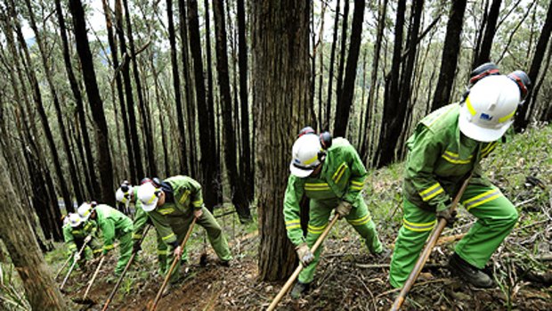 Parks Victoria and DSE staff clear debris near Sassafras yesterday in readiness for the coming bushfire season.