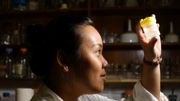 Vivian Sim, at the University of NSW studies microbeads found in Sydney Harbour.