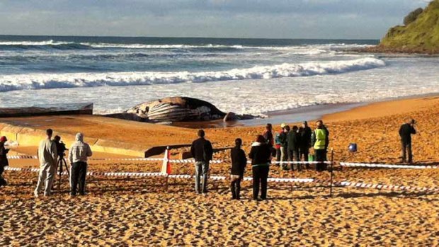 The dead whale is still drawing a crowd this morning.