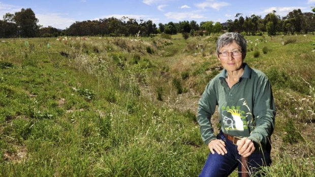 Historian and writer Jenny Horsfield stands near the old creek course behind the Tuggeranong Homestead.