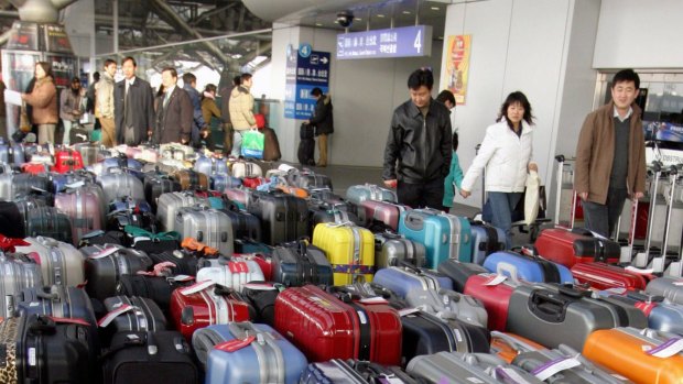 Rows of luggage at an airport.
