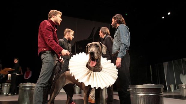 'The Rehearsal, Playing the Great Dane' rehearses at the Malthouse theatre, complete with... a Great Dane.