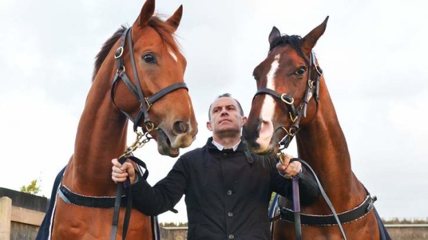 Trainer Chris Waller with his Melbourne cup runners Hawkspur and Foreteller.