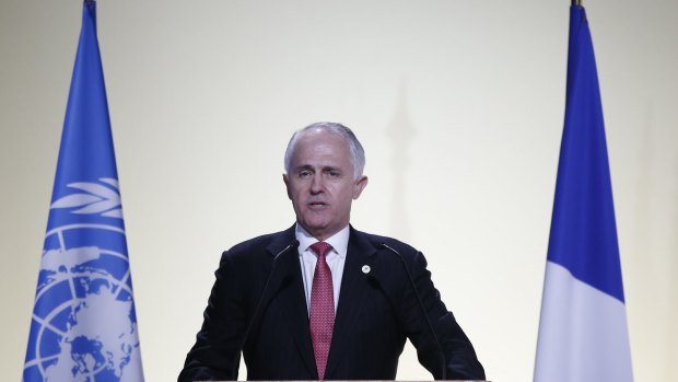 Australia's PM Malcolm Turnbull told world leaders at the Paris summit  the government would double the $100-million-a-year investment in clean technology research.