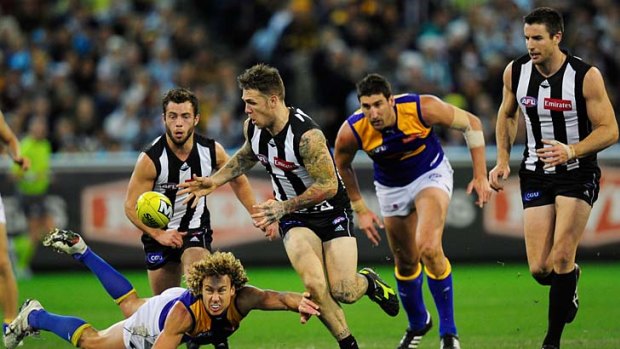 Magpie moments: Dane Swan wins the ball for Collingwood in the match against West Coast at the MCG yesterday.