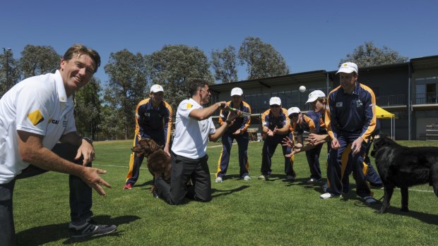 Sound technique: Members of the ACT blind cricket team at the ANU North Oval
with Australian cricket legends Glenn McGrath, bowling, and Mike
Hussey, with the bat. 