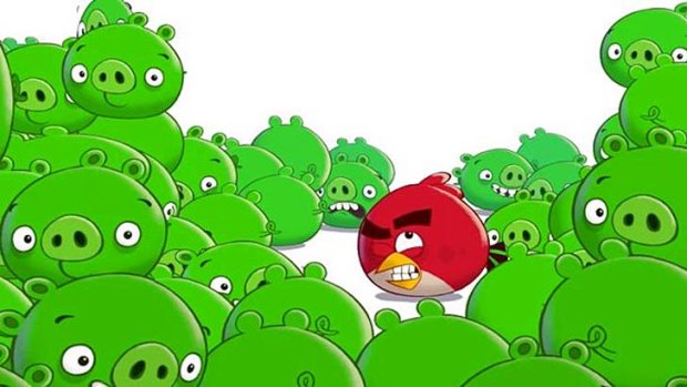 cute angry birds pigs