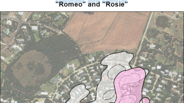 This aerial view shows the parts of Somers Rosie the female koala (pink) and Romeo the male koala (grey) call home. The dotted lines indicate their preferred areas. 