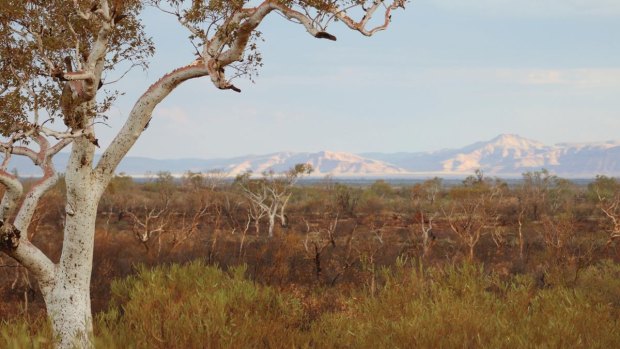 Yindjibarndi land in the Pilbara, Western Australia