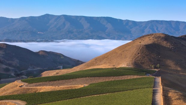 Caught on film: A thick fog over the Santa Ynez Valley.