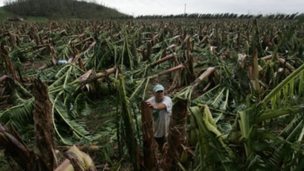 Innisfail banana farmer Lawrence Collega after the destruction of Cyclone Larry in 2006. Photo: Andrew Taylor