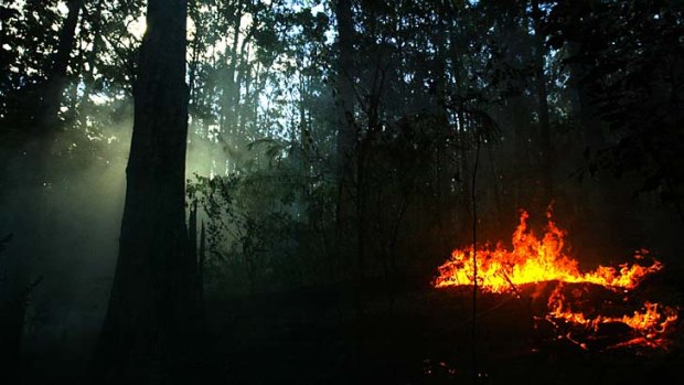 Hazard reduction burning in the Kirrawat state forest, south west of Taree.
