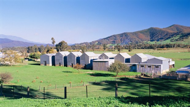 Kilns near Myrtleford.