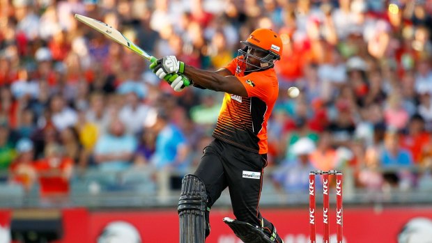 Carberry hits a match winning 77 for the Scorchers against Brisbane Heat, following criticism about his form 