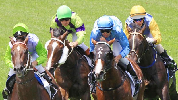 Late surge: Woodbine gave punters a scare on Saturday.