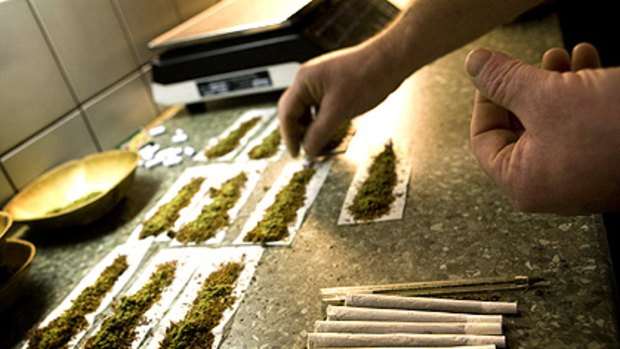 An employee places filter tips in joints containing marijuana at a coffee shop in the southern Dutch city of Bergen.