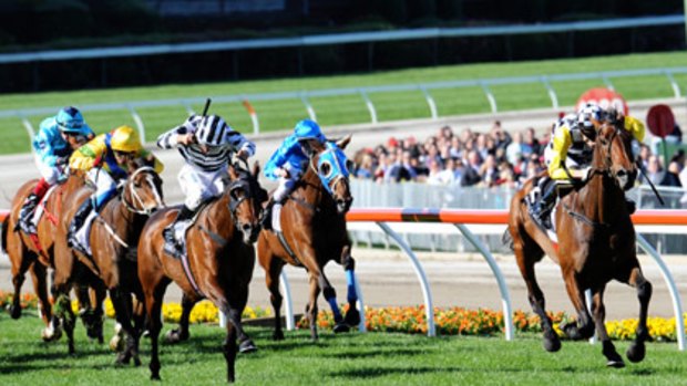 Above Average, pictured finishing second to Precedence in the Moonee Valley Cup, looks suited to tomorrow’s 2600-metre Queen's Cup at Flemington.