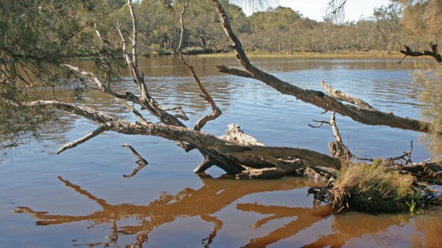 The Swan River Trust is to be subsumed into the Department of Parks and Wildlife
