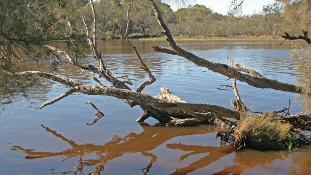 Fishmarket Reserve, Swan River.