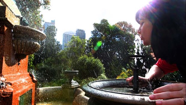 Fountains of change: Nerida Campbell at the Lewis Wolfe Levy Fountain.