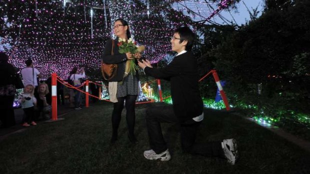 Peter Qin, 27, of Bruce, proposed to Evelin Xu, 26, also of Bruce, at the Christmas light show at the Tennyson Crescent home of the Richards family in Forrest.