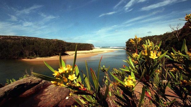 Majestic ... Wattamolla beach inlet on the Royal Coast walk has waterfalls and freshwater lagoons.