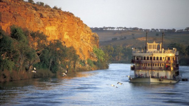 Ebb and flow ... the PS Murray Princess cruises elegantly down the river.