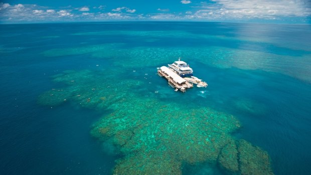 The perfect holiday destination, the Great Barrier Reef. 