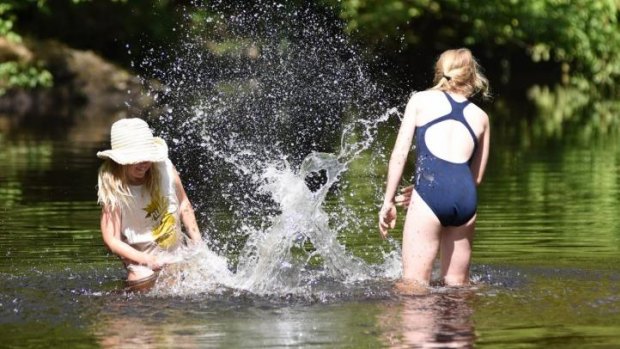 Splashing About In Snowy Creek, Mitta Mitta. 