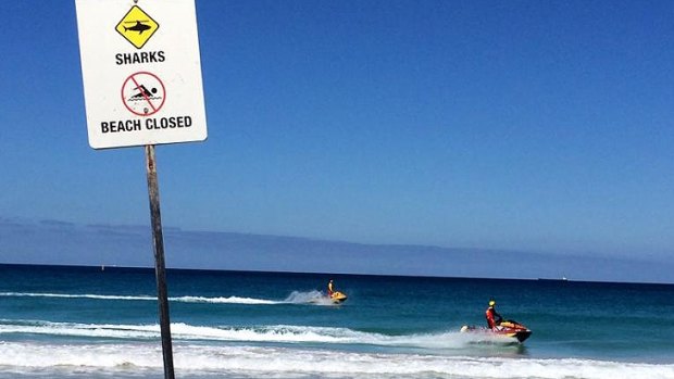 Four Perth beaches, including Scarborough, have been closed by shark sightings. 