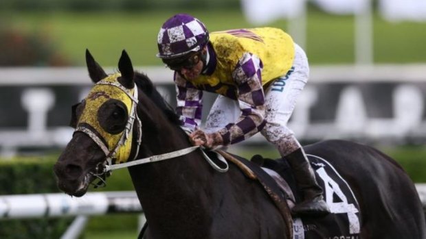 Legend of the Falls: Zac Purton wins the Doncaster Mile on Sacred Falls.