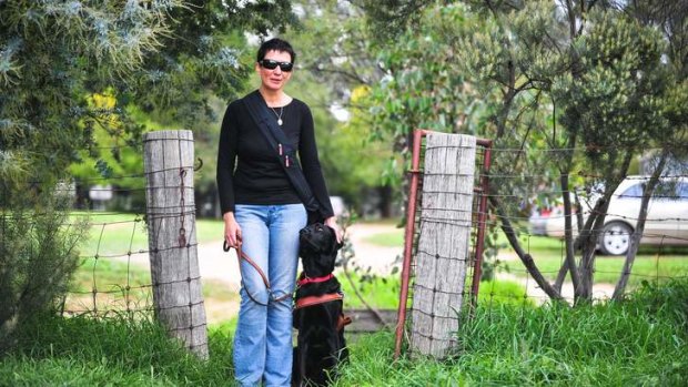 Jo Weir's $30,000 trained guide-dog Wiley gets distracted by uncontrolled pet dogs.