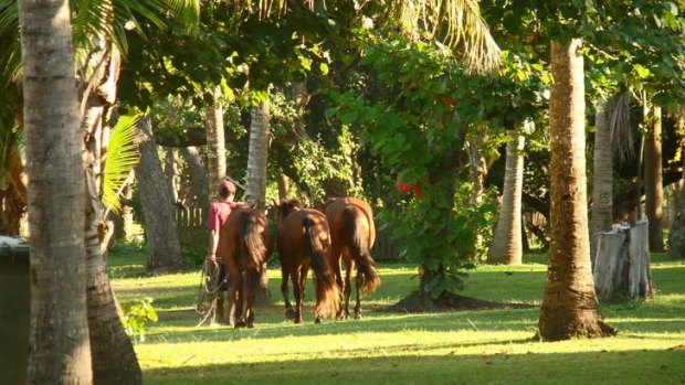 Guests can explore the 44-hectare island on horseback.