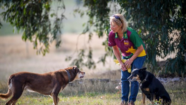 Trish Harris, a dog trainer says the trend for owners to treat their pets as surrogate children can be damaging.