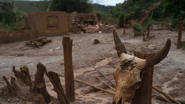 The aftermath of a mudslide caused by the Samarco dam failure. 
