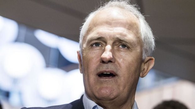 Communications Minister Malcolm Turnbull: wants change, needs consensus.