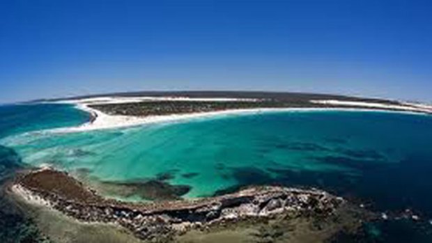 One man is dead following a beach brawl on Wedge Island on New Year's Eve.