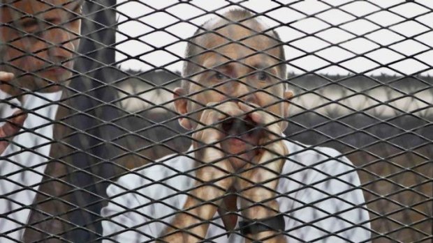 Australian correspondent of Al-Jazeera Peter Greste appears in a defendant's cage during his trial on terror charges at a Cairo courtroom.