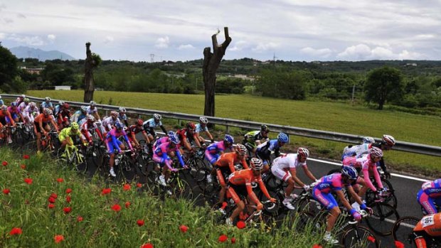 Holding the line: The peloton maintains the pace in the Giro d'Italia.