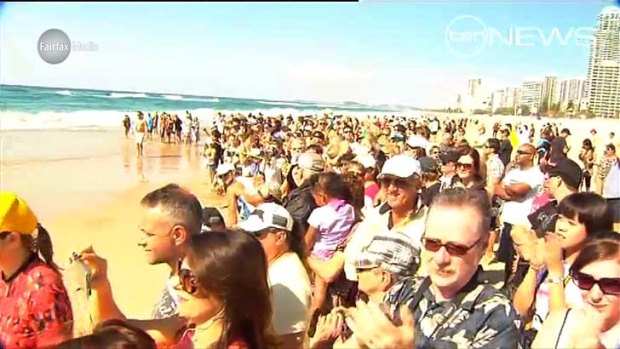 A crowd cheers as the whale is moved out to sea.