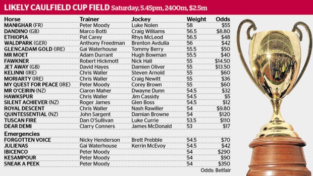 Likely Caulfield Cup field.