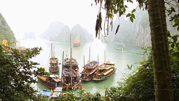 Crowded shore ... thousands of junks and tourist boats ply the waters of Halong Bay.